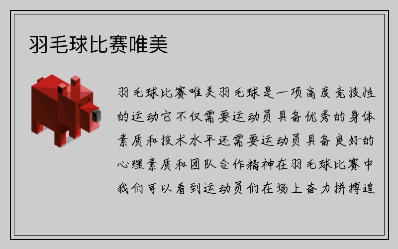 羽毛球比赛唯美